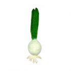a natural cat toy made from sheeps wool, in the shape of a garlic