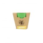 Green Tones Bamboo Round Pot Seed Kit - Sunflower
